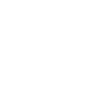 Vision
